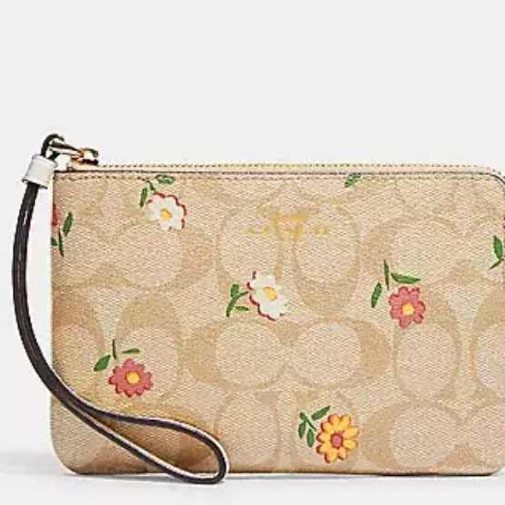 Wistlet Coach - Picture 2 of 12